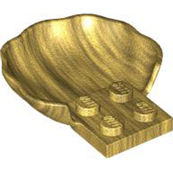 Shell Warm Gold