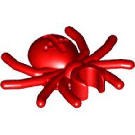 Spider Bright Red