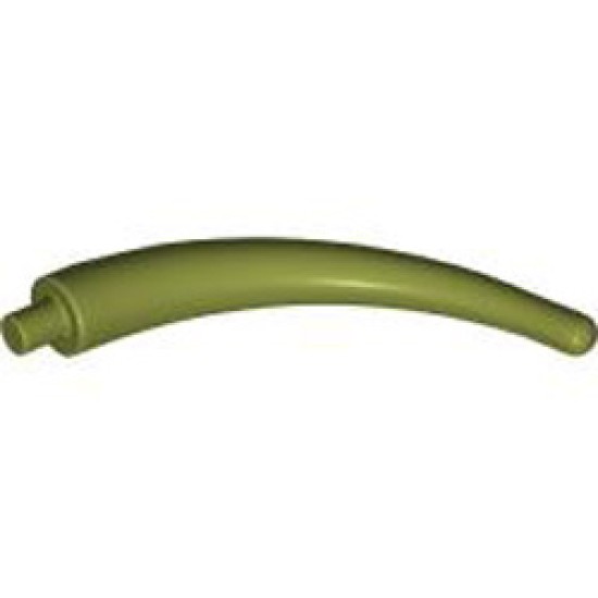 Tip of the Tail Diameter 6.47 Olive Green