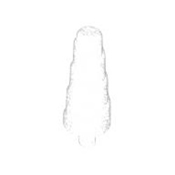 Conical Horn with 1.5 Shaft Number 1 Transparent with Opalescence