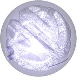 Wheel Ball Diameter 19 Number 1 Transparent Bright Violet
