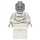 Gorr Minifigure